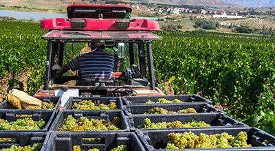 Análisis de Ciclo de Vida ACV - Life Cycle Assessment LCA