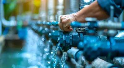 Huella de Agua - Water Footprint