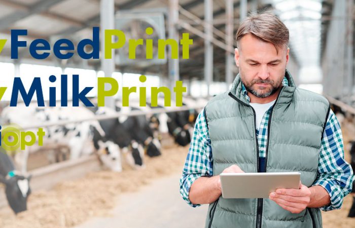 Environmental impacts calculator of feed