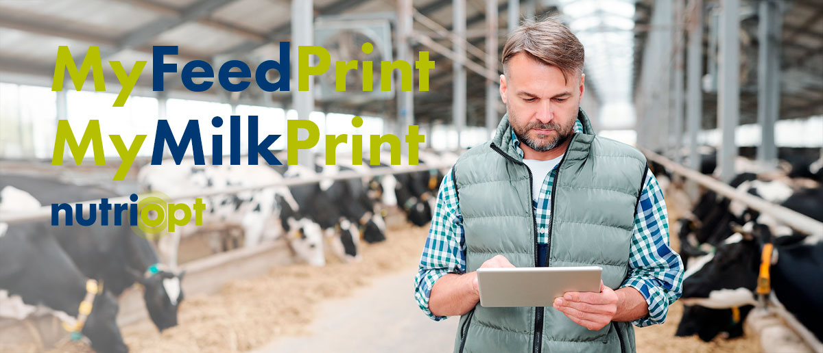 Environmental impacts calculator of feed